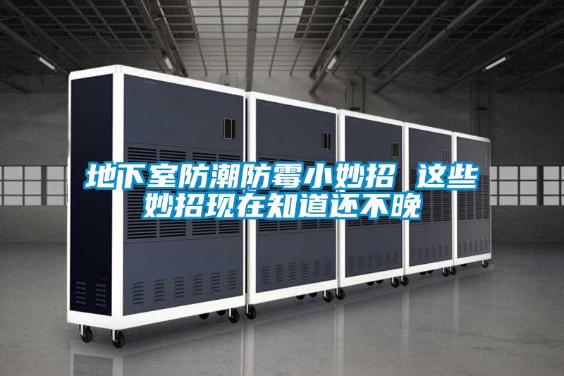 地下室防潮防霉小妙招 這些妙招現在知道還不晚