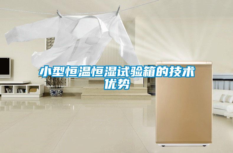 小型恒溫恒濕試驗箱的技術(shù)優(yōu)勢