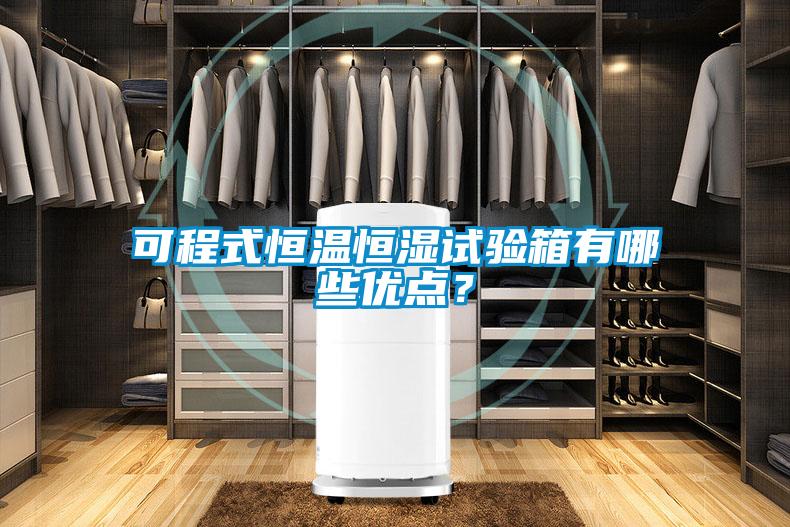 可程式恒溫恒濕試驗(yàn)箱有哪些優(yōu)點(diǎn)？