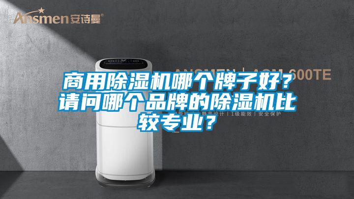 商用除濕機哪個牌子好?請問哪個品牌的除濕機比較專業(yè)?