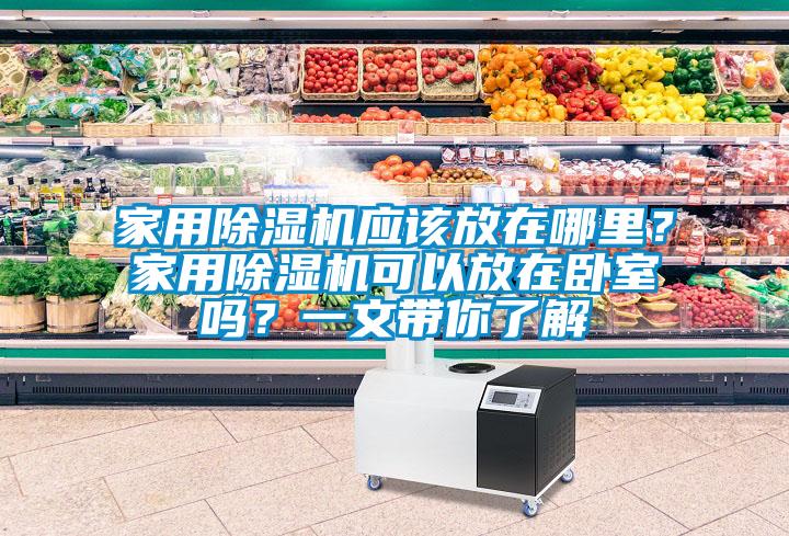 家用除濕機應該放在哪里？家用除濕機可以放在臥室嗎？一文帶你了解