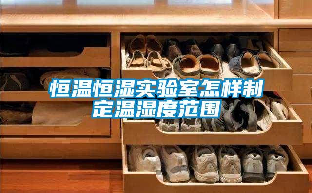 恒溫恒濕實驗室怎樣制定溫濕度范圍