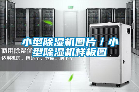 小型除濕機圖片/小型除濕機樣板圖