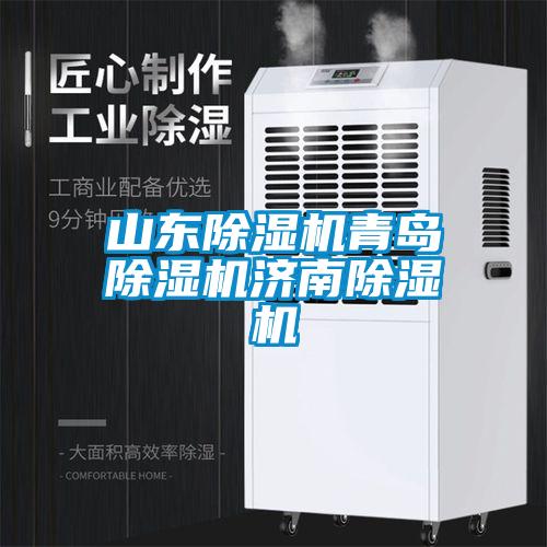 山東除濕機(jī)青島除濕機(jī)濟(jì)南除濕機(jī)