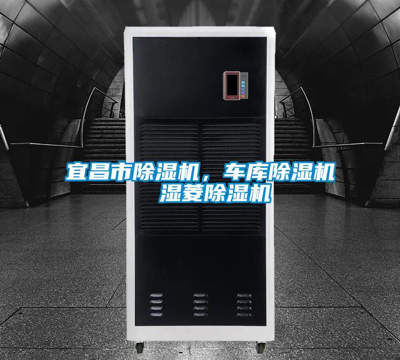 宜昌市除濕機(jī)，車庫(kù)除濕機(jī)  濕菱除濕機(jī)