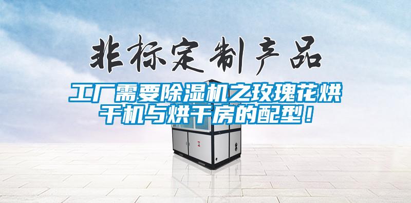 工廠需要除濕機之玫瑰花烘干機與烘干房的配型！