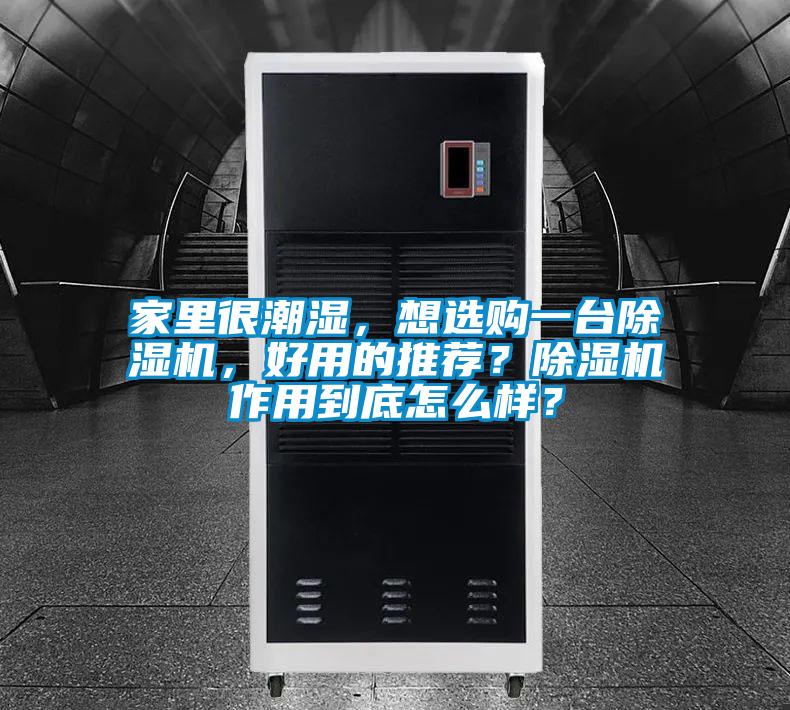 家里很潮濕,想選購一臺除濕機,好用的推薦?除濕機作用到底怎么樣?