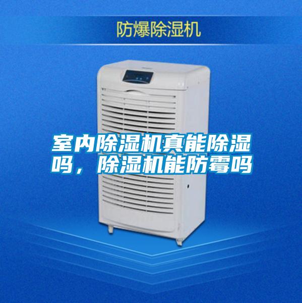 室內除濕機真能除濕嗎,除濕機能防霉嗎