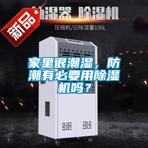家里很潮濕,防潮有必要用除濕機嗎?