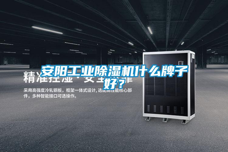 安陽工業除濕機什么牌子好?
