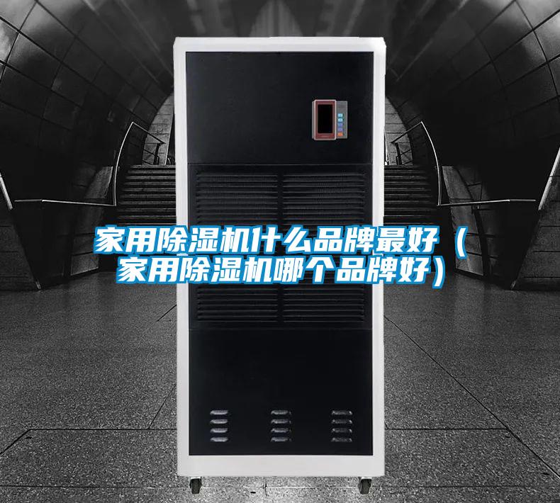 家用除濕機什么品牌最好(家用除濕機哪個品牌好)