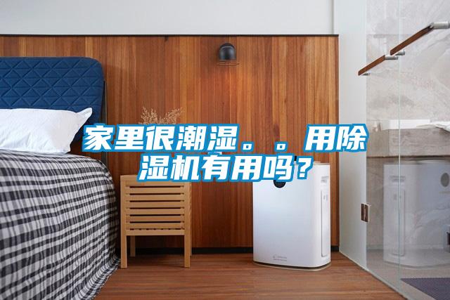 家里很潮濕。。用除濕機有用嗎?