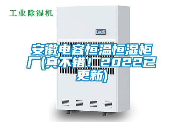 安徽電容恒溫恒濕柜廠(真不錯!2022已更新)