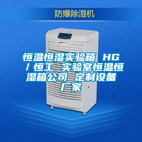 恒溫恒濕實驗箱 HG/恒工 實驗室恒溫恒濕箱公司 定制設備廠家