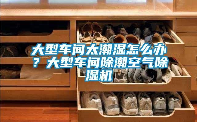 大型車間太潮濕怎么辦?大型車間除潮空氣除濕機