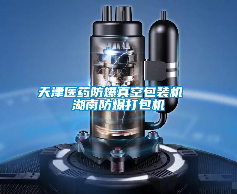 天津醫藥防爆真空包裝機 湖南防爆打包機