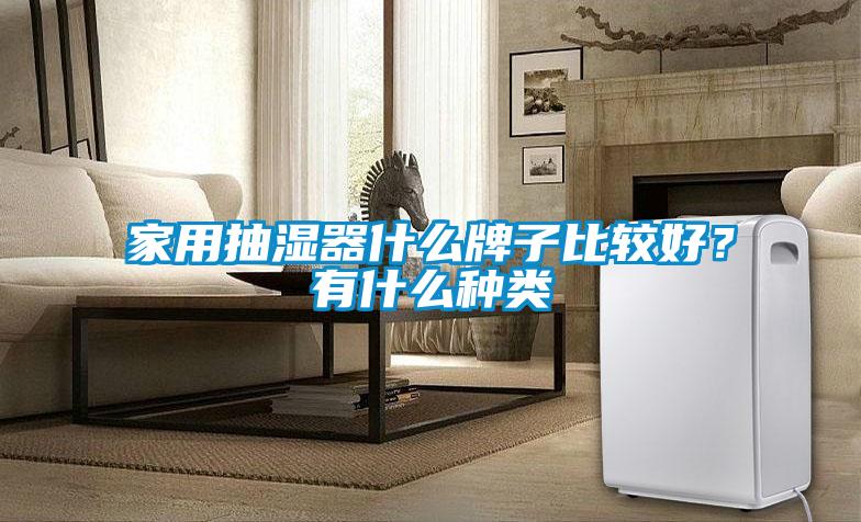 家用抽濕器什么牌子比較好？有什么種類