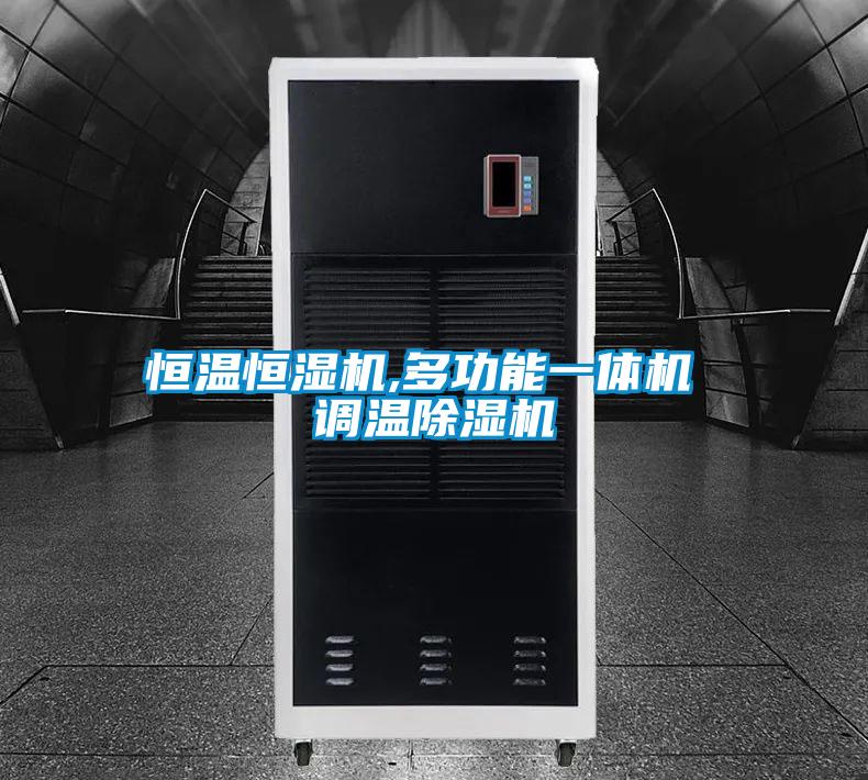 恒溫恒濕機,多功能一體機 調(diào)溫除濕機