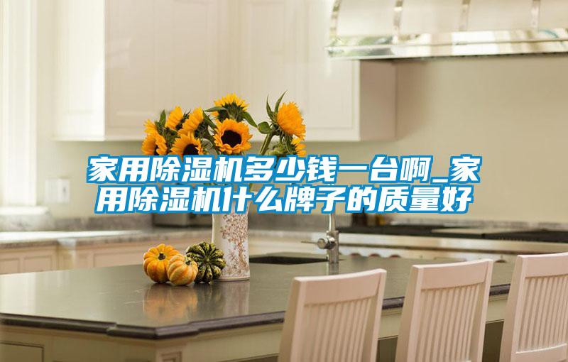 家用除濕機多少錢一臺啊_家用除濕機什么牌子的質量好