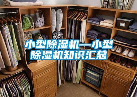 小型除濕機—小型除濕機知識匯總