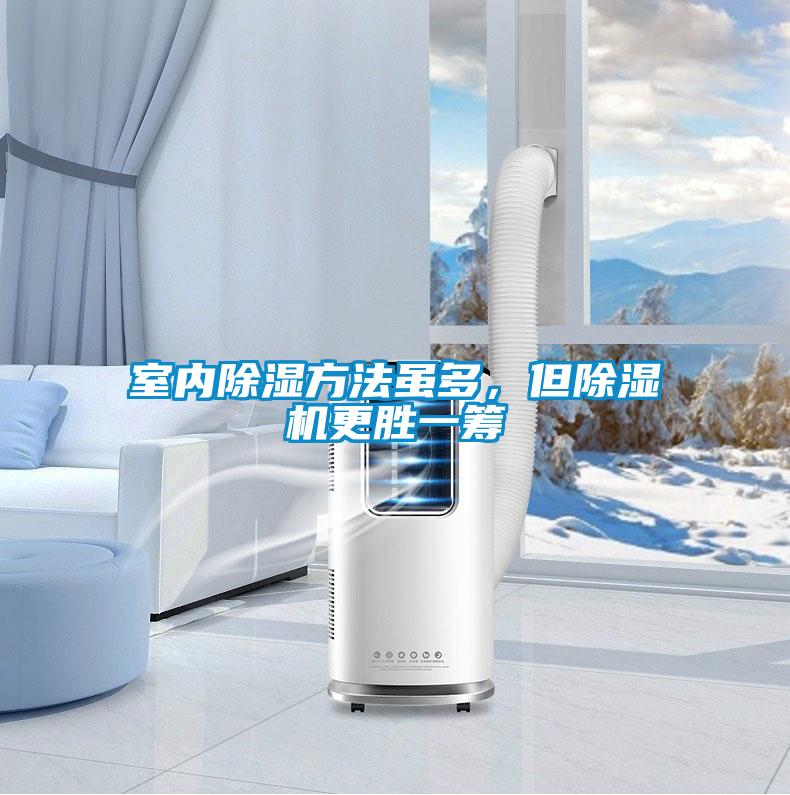 室內除濕方法雖多,但除濕機更勝一籌