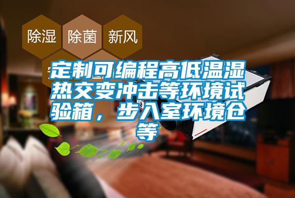 定制可編程高低溫濕熱交變沖擊等環境試驗箱,步入室環境倉等