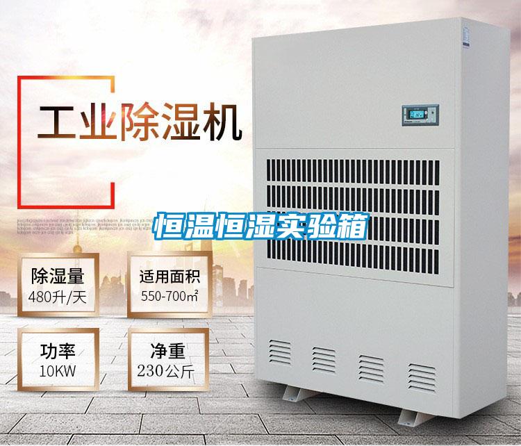 恒溫恒濕實驗箱