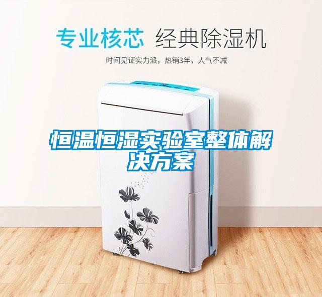 恒溫恒濕實驗室整體解決方案