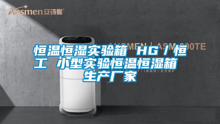 恒溫恒濕實驗箱 HG/恒工 小型實驗恒溫恒濕箱 生產廠家