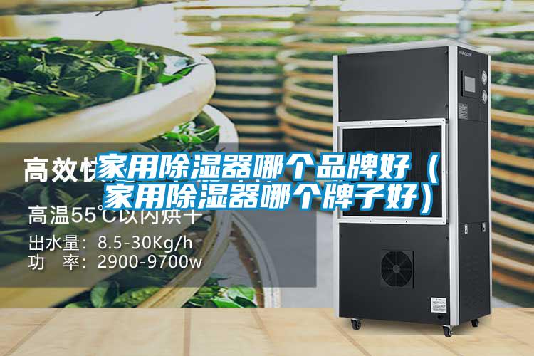 家用除濕器哪個品牌好(家用除濕器哪個牌子好)