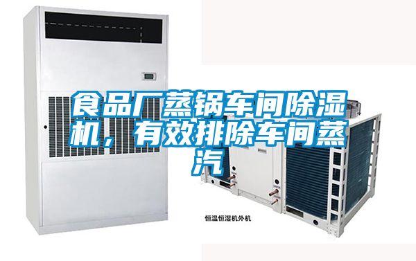 食品廠蒸鍋車間除濕機,有效排除車間蒸汽