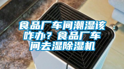 食品廠車間潮濕該咋辦?食品廠車間去濕除濕機