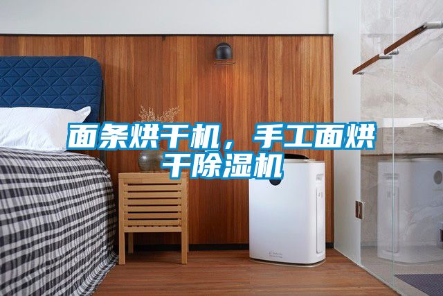 面條烘干機,手工面烘干除濕機