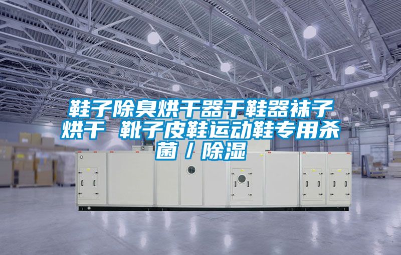 鞋子除臭烘干器干鞋器襪子烘干 靴子皮鞋運動鞋專用殺菌/除濕