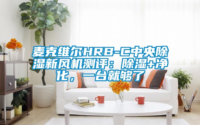 麥克維爾HRB-C中央除濕新風(fēng)機(jī)測(cè)評(píng)：除濕+凈化，一臺(tái)就夠了
