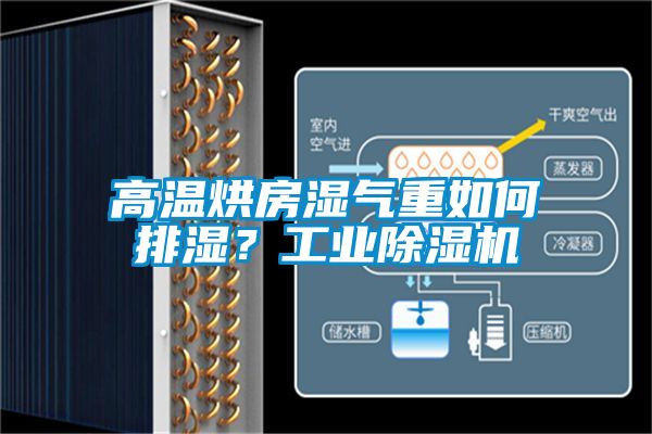 高溫烘房濕氣重如何排濕?工業除濕機