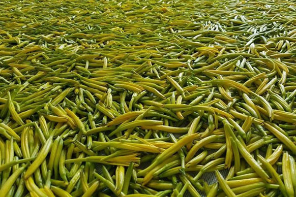 無硫金針菜烘干如何保持品相？不發黑？