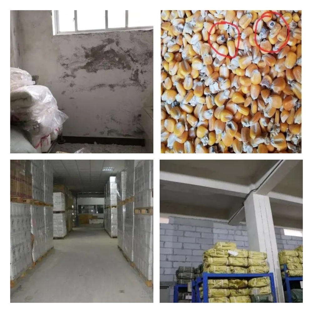 稿定設計導出-20211214-141923 稿定設計導出-20211214-141923